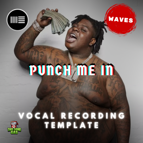 PUNCH ME IN (WAVES) ABLETON RECORDING TEMPLATE