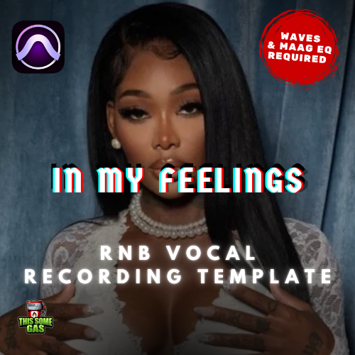 WJB "IN MY FEELINGS" RnB PRO TOOLS TEMPLATE (WAVES & MAAG EQ)